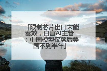限制芯片出口未能奏效，白宫AI主管：中国模型仅落后美国不到半年
