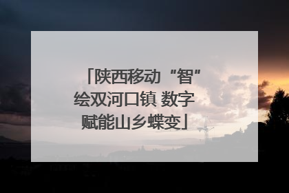 陕西移动“智”绘双河口镇 数字赋能山乡蝶变