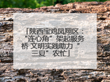陕西宝鸡凤翔区：“连心角”架起服务桥 文明实践助力“三夏”农忙