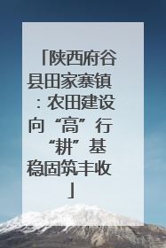 陕西府谷县田家寨镇：农田建设向“高”行 “耕”基稳固筑丰收