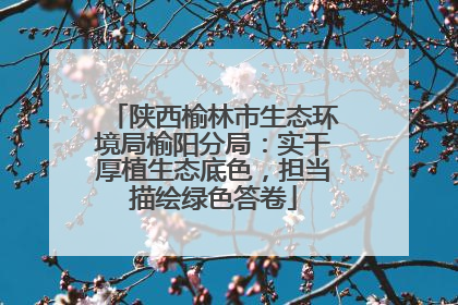 陕西榆林市生态环境局榆阳分局：实干厚植生态底色，担当描绘绿色答卷