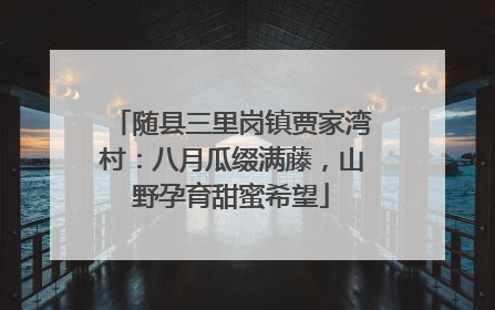随县三里岗镇贾家湾村：八月瓜缀满藤，山野孕育甜蜜希望
