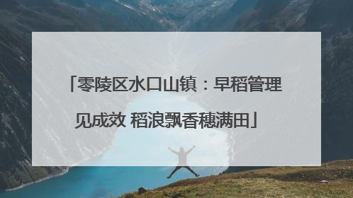 零陵区水口山镇：早稻管理见成效 稻浪飘香穗满田