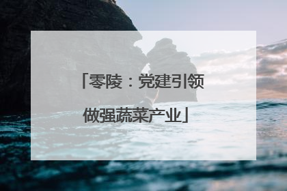 零陵：党建引领 做强蔬菜产业
