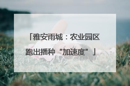 雅安雨城：农业园区跑出播种“加速度”