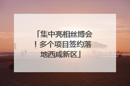 集中亮相丝博会！多个项目签约落地西咸新区