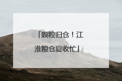 颗粒归仓！江淮粮仓夏收忙