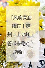 风吹麦浪一线行丨定州：土地托管带来稳产增收