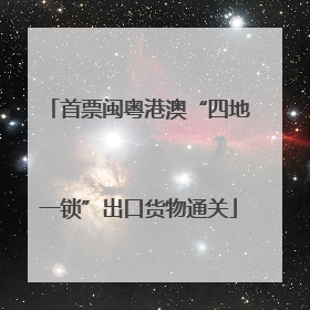 首票闽粤港澳“四地一锁”出口货物通关
