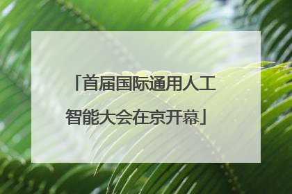首届国际通用人工智能大会在京开幕