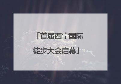 首届西宁国际徒步大会启幕