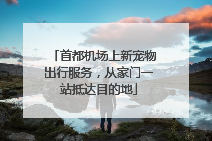 首都机场上新宠物出行服务，从家门一站抵达目的地