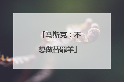 马斯克：不想做替罪羊