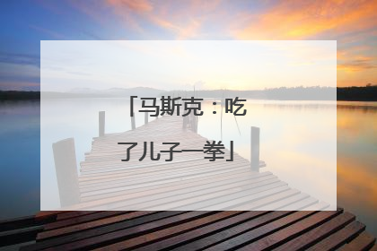 马斯克：吃了儿子一拳