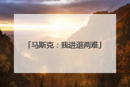 马斯克：我进退两难