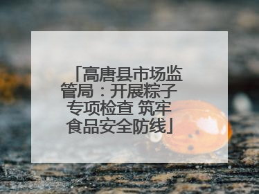 高唐县市场监管局：开展粽子专项检查 筑牢食品安全防线