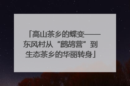 高山茶乡的蝶变——东风村从“鹧鸪营”到生态茶乡的华丽转身