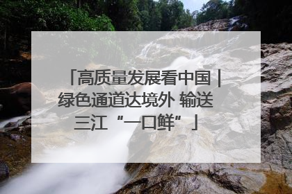 高质量发展看中国｜绿色通道达境外 输送三江“一口鲜”