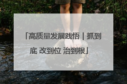 高质量发展践悟｜抓到底 改到位 治到根