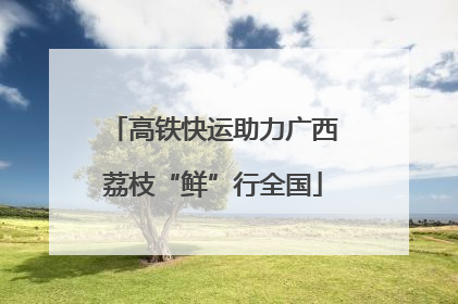 高铁快运助力广西荔枝“鲜”行全国