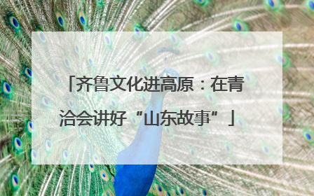 齐鲁文化进高原：在青洽会讲好“山东故事”