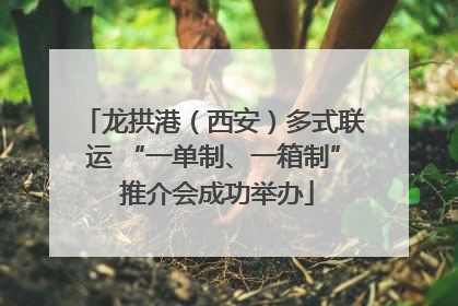 龙拱港（西安）多式联运 “一单制、一箱制” 推介会成功举办
