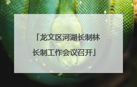 龙文区河湖长制林长制工作会议召开