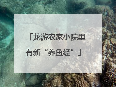 龙游农家小院里有新“养鱼经”