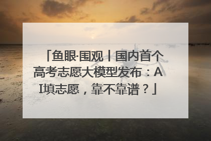 鱼眼·围观丨国内首个高考志愿大模型发布：AI填志愿，靠不靠谱？