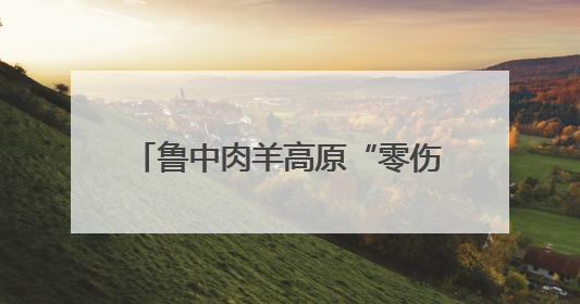 鲁中肉羊高原“零伤亡”背后的山东智慧