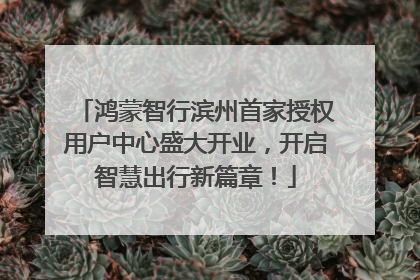 鸿蒙智行滨州首家授权用户中心盛大开业，开启智慧出行新篇章！