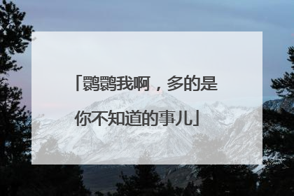 鹮鹮我啊，多的是你不知道的事儿