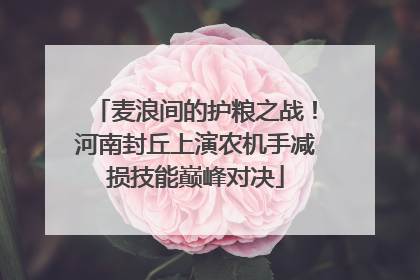 麦浪间的护粮之战！河南封丘上演农机手减损技能巅峰对决