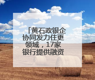 黄石政银企协同发力住更领域，17家银行提供融资服务方案