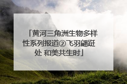 黄河三角洲生物多样性系列报道②飞羽翩跹处 和美共生时