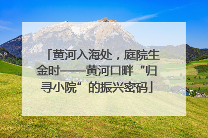 黄河入海处，庭院生金时——黄河口畔“归寻小院”的振兴密码