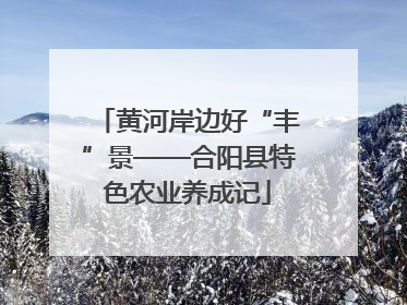 黄河岸边好“丰”景——合阳县特色农业养成记