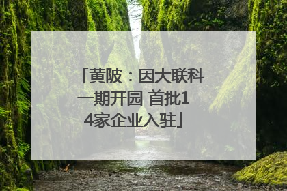 黄陂：因大联科一期开园 首批14家企业入驻