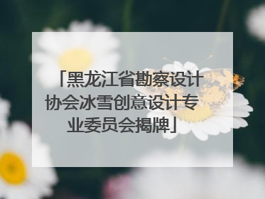 黑龙江省勘察设计协会冰雪创意设计专业委员会揭牌