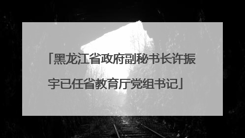 黑龙江省政府副秘书长许振宇已任省教育厅党组书记