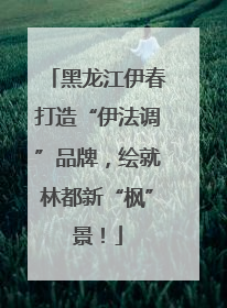 黑龙江伊春打造“伊法调”品牌，绘就林都新“枫”景！