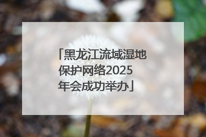 黑龙江流域湿地保护网络2025年会成功举办