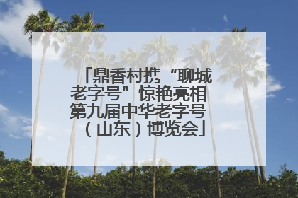鼎香村携“聊城老字号”惊艳亮相第九届中华老字号（山东）博览会
