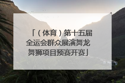 （体育）第十五届全运会群众展演舞龙舞狮项目预赛开赛