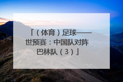 （体育）足球——世预赛：中国队对阵巴林队（3）