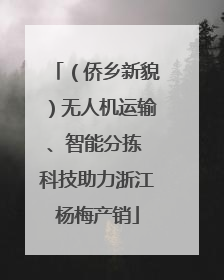 （侨乡新貌）无人机运输、智能分拣 科技助力浙江杨梅产销