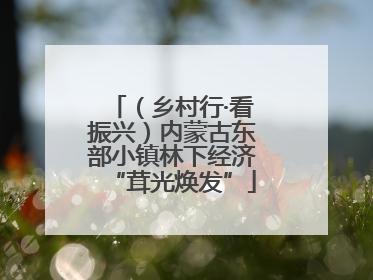 （乡村行·看振兴）内蒙古东部小镇林下经济“茸光焕发”