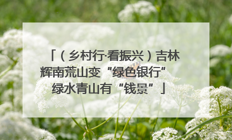 （乡村行·看振兴）吉林辉南荒山变“绿色银行” 绿水青山有“钱景”