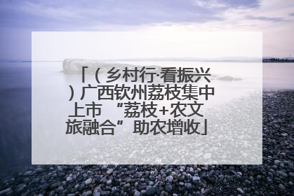 （乡村行·看振兴）广西钦州荔枝集中上市 “荔枝+农文旅融合”助农增收