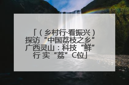 （乡村行·看振兴）探访“中国荔枝之乡”广西灵山：科技“鲜”行 实“荔”C位